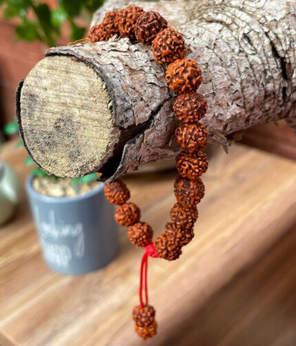 Rudraksh Bracelet