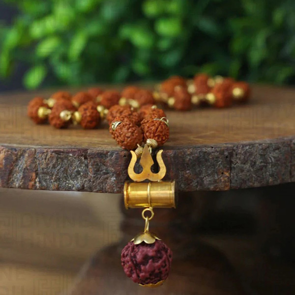 rudraksh-about-us-2
