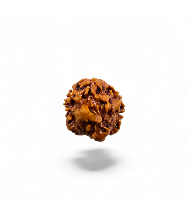 0 Mukhi Nirakar-2 0 Mukhi Nirakar - Image 2