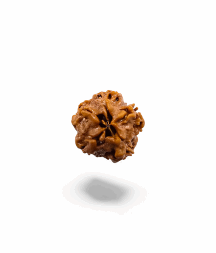 0 Mukhi Nirakar