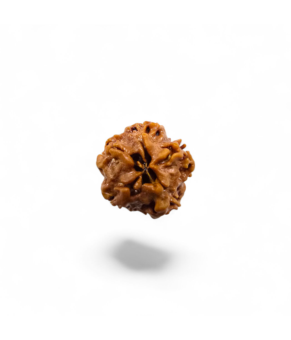 0 Mukhi Nirakar-3 0 Mukhi Nirakar - Image 1