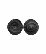 Shaligram