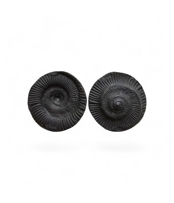 shaligram-1 Shaligram - Image 1