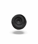 Shaligram - Image 2
