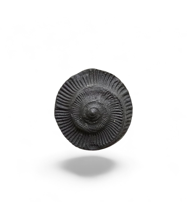 shaligram-3 Shaligram - Image 4